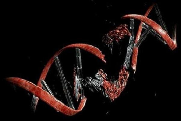 خطا در رونویسی DNA علت بروز اکثر سرطان ها