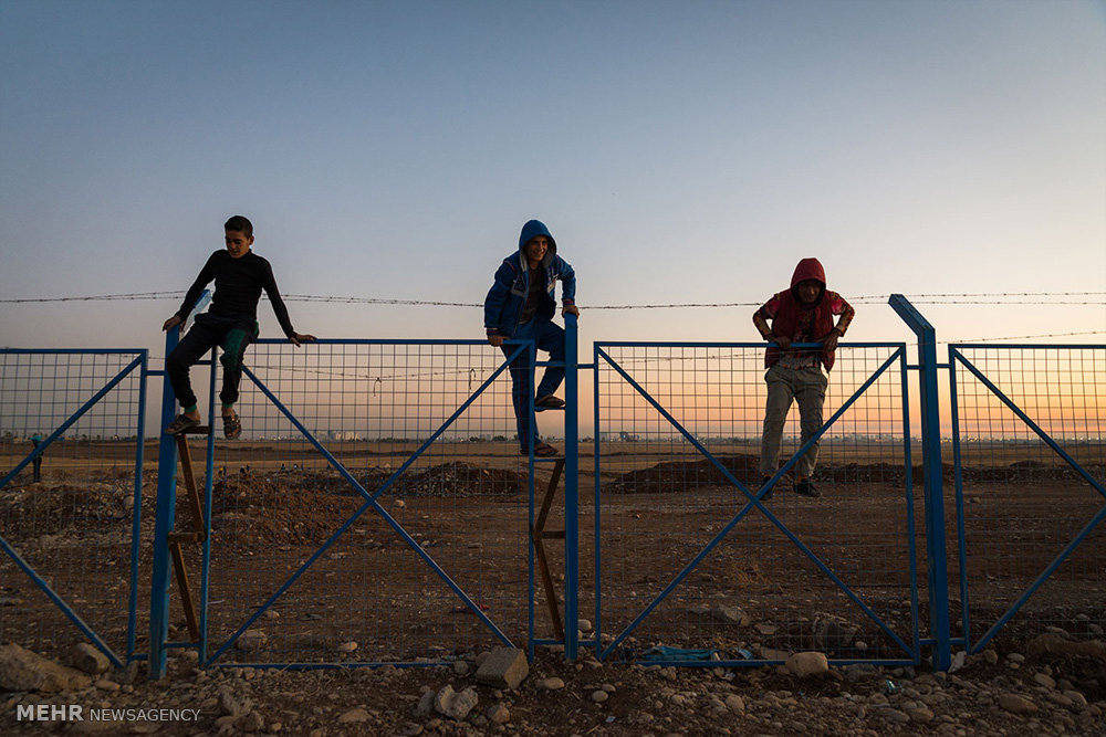 پناهجویان فلسطینی در عراق