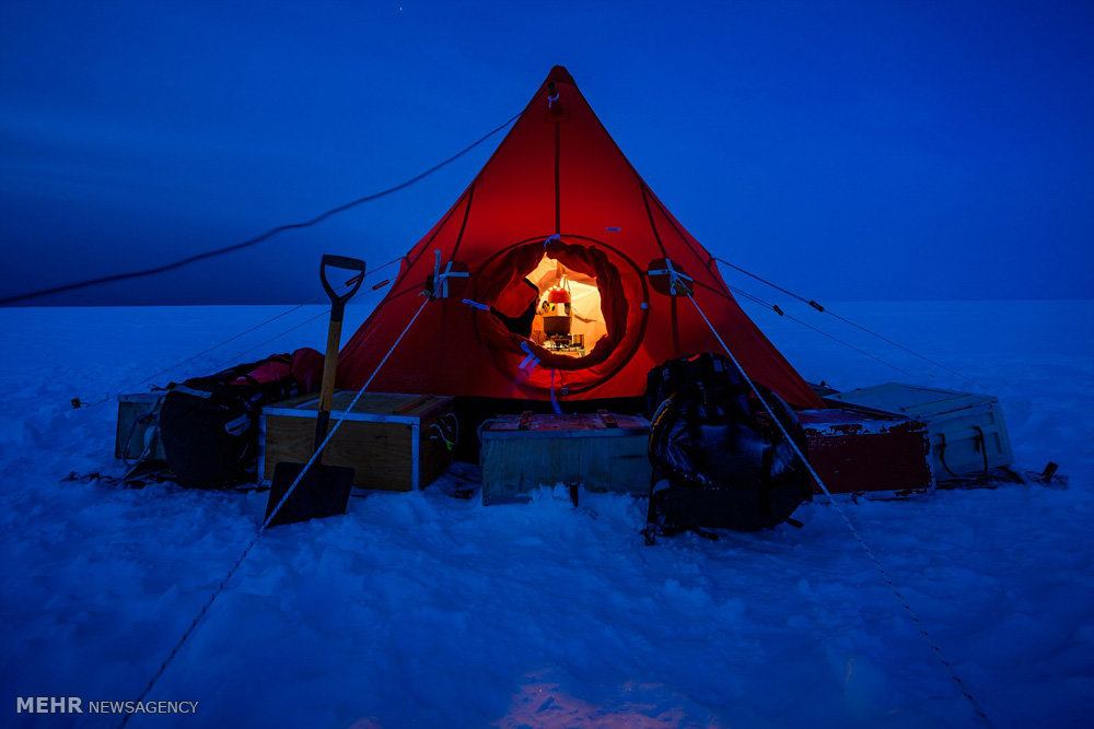 یک سال زندگی در قطب جنوب‎