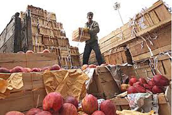 تأخیر ۲ روزه در توزیع میوه عید اردبیل/قیمت همچنان نامشخص است