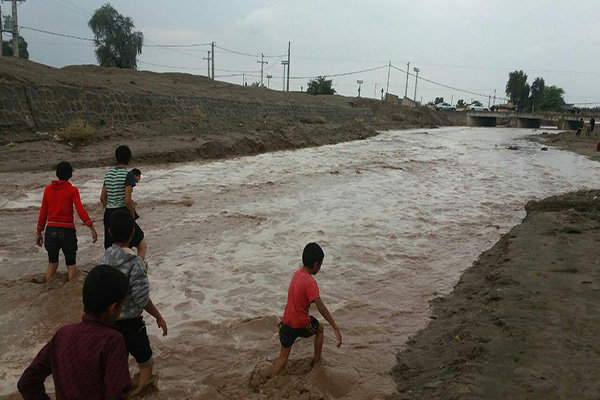 شهر کاکی دشتی در محاصره آب قرار گرفت/قطع آب ۲۵ روستا