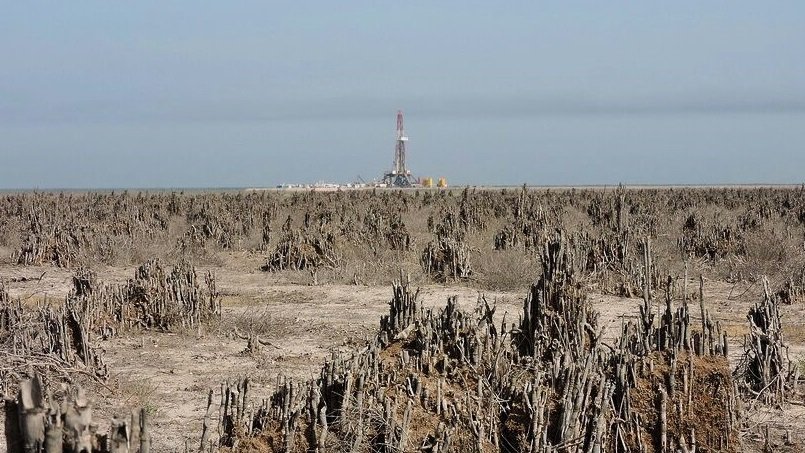 هورالعظیم همچنان در کانون بحران / سیاستهای مخرب متولیان پایان یابد 9