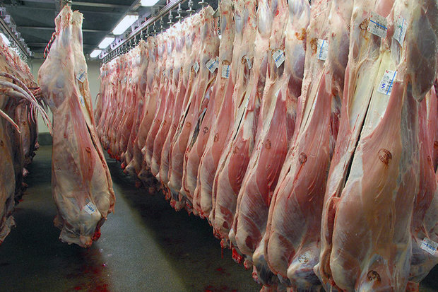 تولید گوشت قرمز در استان سمنان