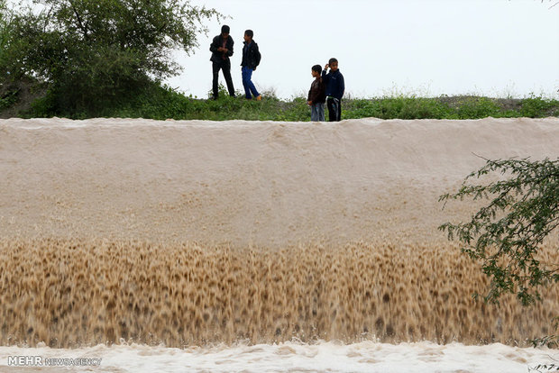 ۶ نفر در استان بوشهر بر اثر بارندگی فوت شدند/ ۲ نفر مفقود هستند