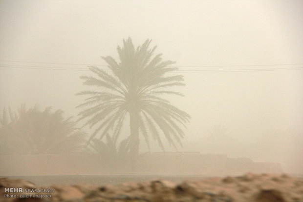 موج شن های روان زیر سایه سد نساء/ آسمان شرق کرمان غرق در غبار