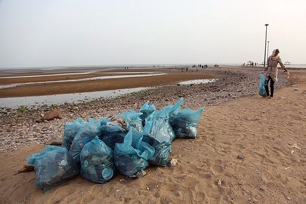 پاکسازی ساحل بوشهر