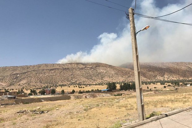 آتش در کوه های شهرستان بدره دوباره شعله ور شد