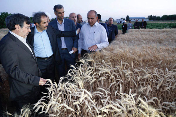 کشاورزی استان قزوین باید به تجهیزات نوین مجهز شود