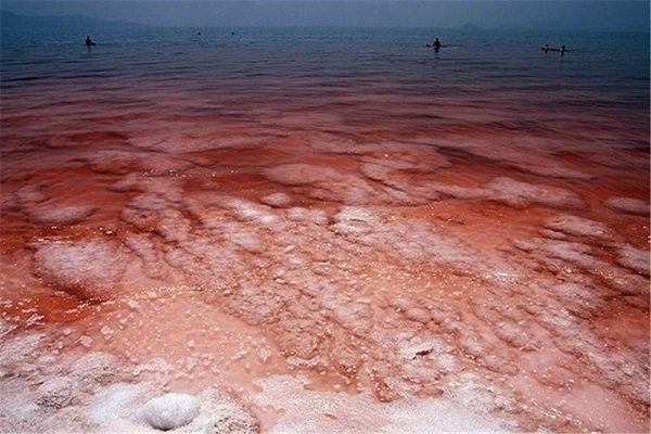 تغییر رنگ دومین دریاچه شور دنیا/دریاچه ارومیه قرمز شد
