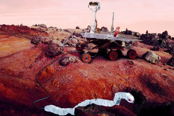 مارهای روباتیک به عمق مریخ می روند