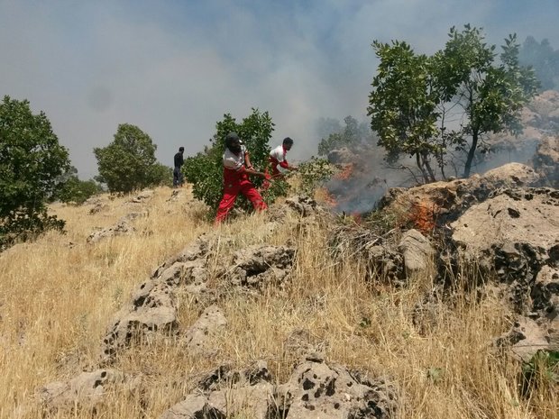 آتش سوزی مراتع روستای قوری قلعه روانسر مهار شد