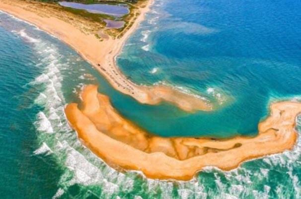 نتیجه تصویری برای جزیره جدید در ساحل امریکا