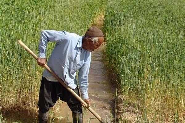 بیمه روستایی تضمین آینده کشاورز/سفره داران بی نان بازنشسته میشوند
