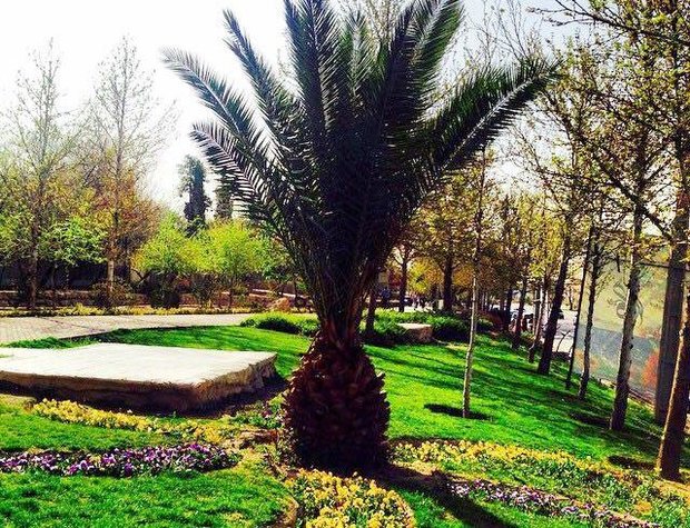 تصفیه خانه فاضلاب به جای برج فرهنگی/ نفس باغ‌های شیراز می گیرد