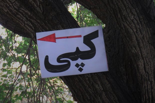 دفن جاذبه‌های تبریز زیر زوائد بصری/ شهر در محاصره نمادهای نازیبا