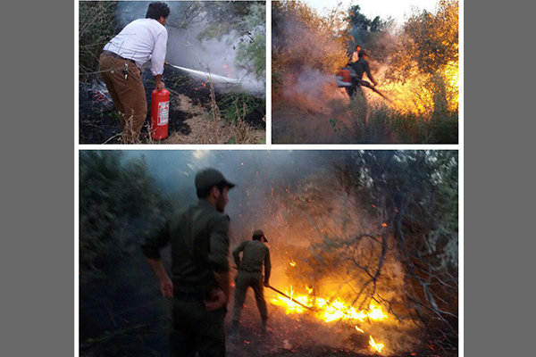 آتش‌سوزی جنگل‌های حاشیه رود ارس در پارس‌آباد مهار شد