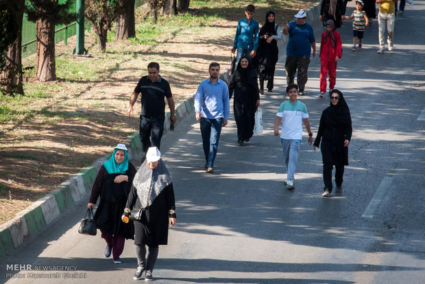 شیوع ۲۰ درصدی آرتروز زانو در جامعه ایرانی