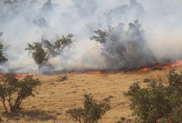 مهار آتش در جنگل‌های کلاله/بیش از ۱۵ هکتار عرصه جنگلی در آتش سوخت
