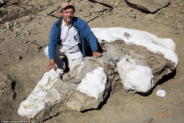 اسکلت ۷۶ میلیون ساله یک دایناسور شناسایی شد