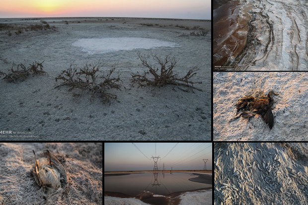 گردوغبار نمکی در کمین خوزستانی‌ها/ ۱۵ هزار صیاد بی ماهی شدند