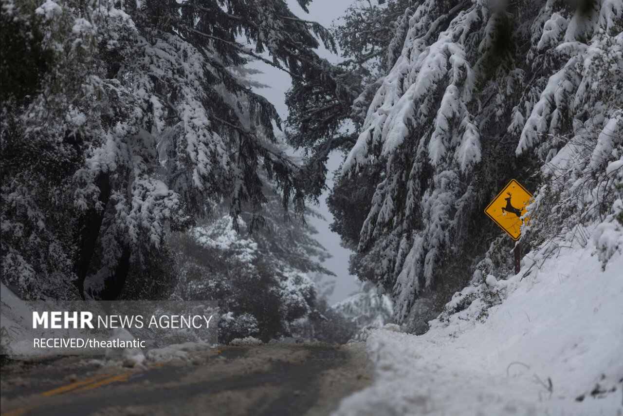 ۵ گردشگر در کولاک برف شیلی کشته شدند ۵ گردشگر در کولاک برف شیلی کشته شدند