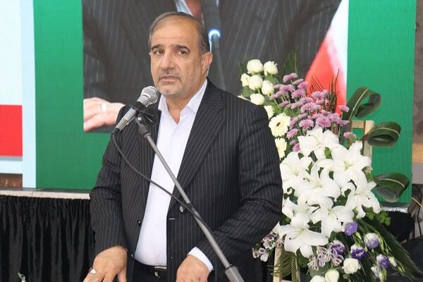 دامها در مزارع سبز گندم در حال چرا هستند دامها در مزارع سبز گندم در حال چرا هستند