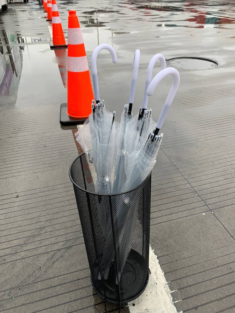 سفر زمینی ایرانیها زیر باران و از کنار آتش