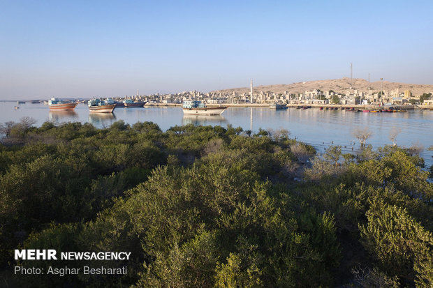 سواحل مکران گنج پنهان کشور است