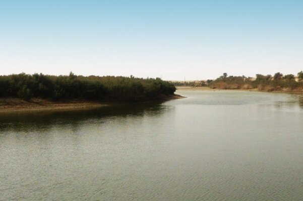 لزوم حفاظت از اکوسیستم تالاب حله/ ظرفیت جوامع محلی استفاده میشود