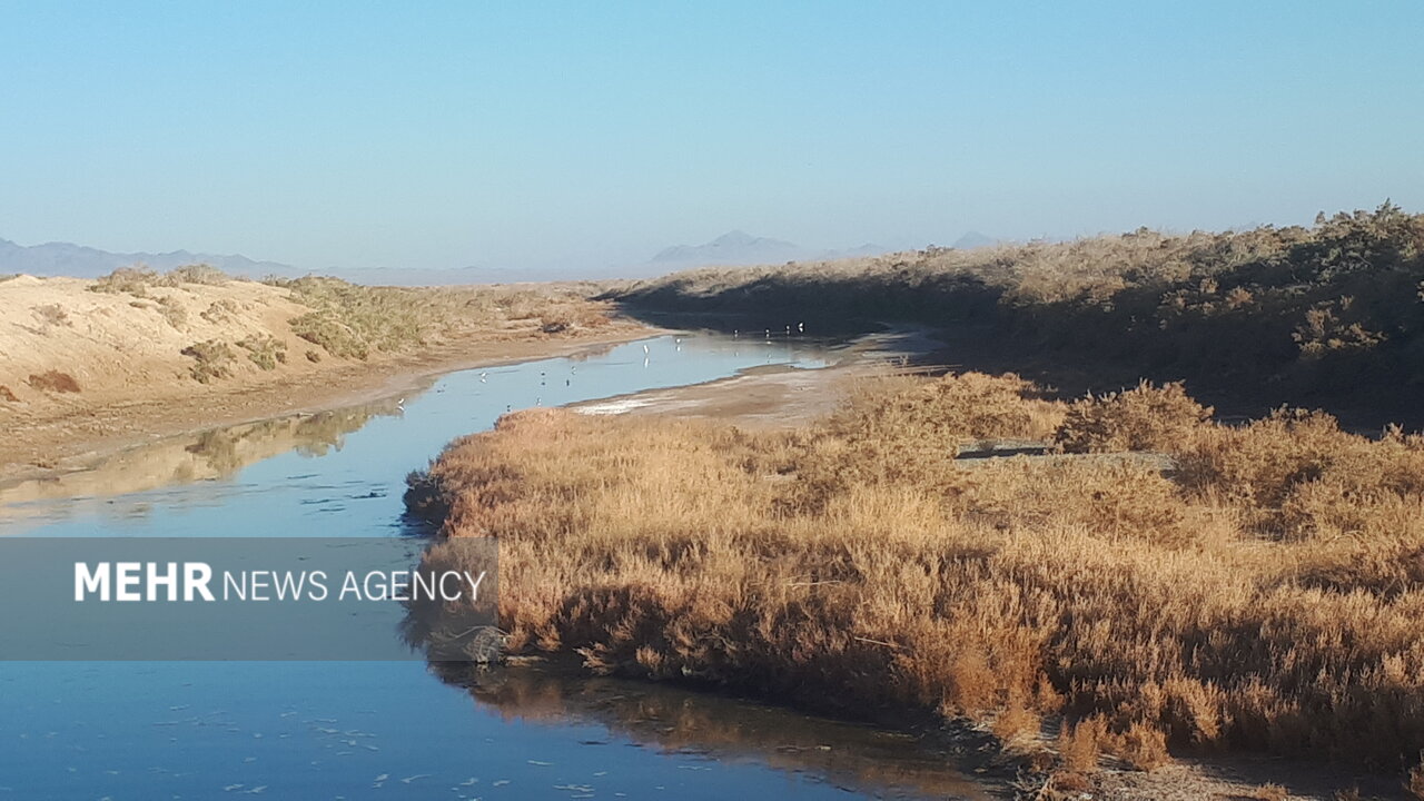 آب به تالاب گاوخونی رسید؟ + تصاویر
