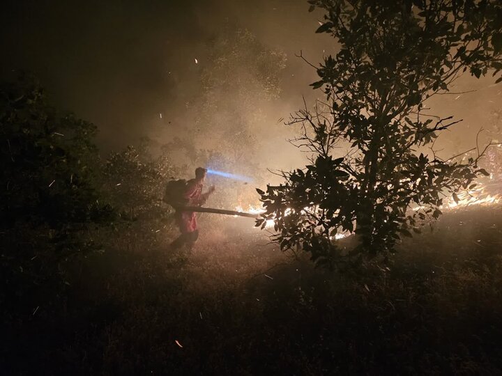 درخشش طبیعت غرب زاگرس؛ کردها برای این گنجینه جان میبازند