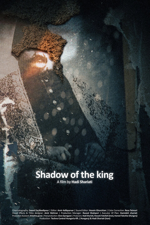 «سایه سلطان» نامزد جایزه شد/ «پر» در بخش مسابقه جشنواره اتریشی