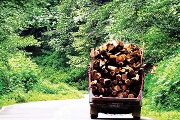 کشف هشت تن چوب قاچاق در شهرستان بهار کشف هشت تن چوب قاچاق در شهرستان بهار