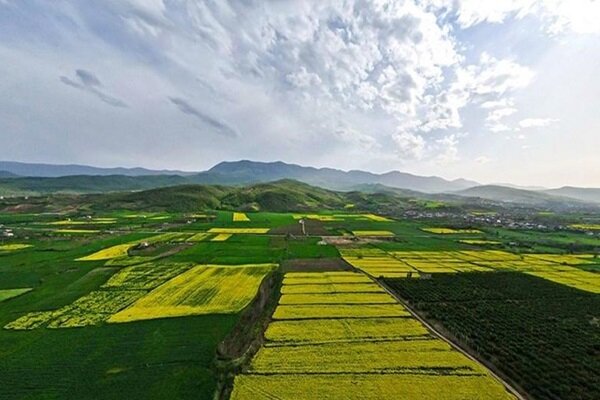 واگذاری بخشی از اراضی لرستان برای اجرای طرحهای کشاورزی واگذاری بخشی از اراضی لرستان برای اجرای طرحهای کشاورزی