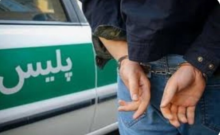 دستگیری ۲ سارق اماکن خصوصی در مشگینشهر دستگیری ۲ سارق اماکن خصوصی در مشگینشهر