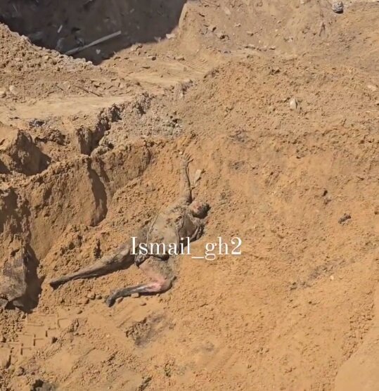 وحشیگری به روایت تصاویر؛ از آتش زدن مساجد تا شهادت ۱۵ هزار کودک!