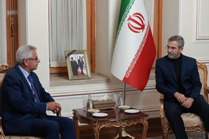 مهمانان خارجی مراسم تحلیف با «باقری» دیدار کردند