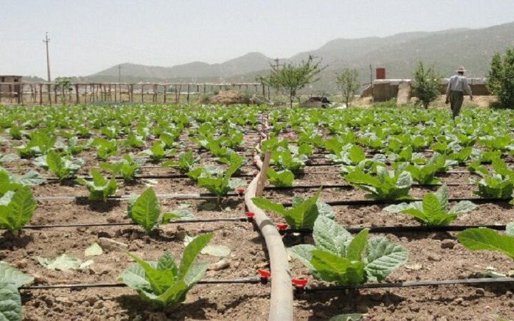 اروپا از سال ۲۰۲۵ محصولات تولیدشده با کود شیمیایی وارد نمیکند اروپا از سال ۲۰۲۵ محصولات تولیدشده با کود شیمیایی وارد نمیکند