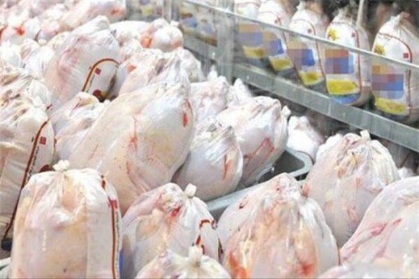 عرضه گوشت طیور در دی ماه به بیش از ۲۴۰ هزار تن رسید عرضه گوشت طیور در دی ماه به بیش از ۲۴۰ هزار تن رسید