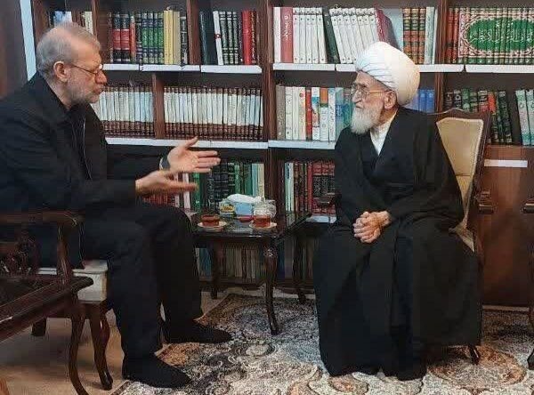 «علی لاریجانی» با آیت الله نوری همدانی دیدار کرد «علی لاریجانی» با آیت الله نوری همدانی دیدار کرد