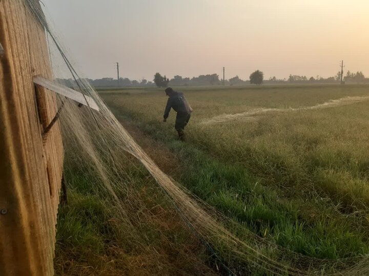 ۶۰ شکارچی متخلف با ۲۹ قطعه پرنده شکارشده دستگیر شدند ۶۰ شکارچی متخلف با ۲۹ قطعه پرنده شکارشده دستگیر شدند