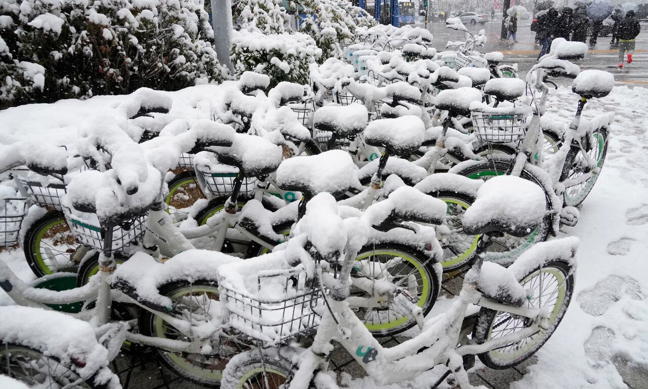 برف بیسابقه سئول را سفیدپوش و چند خانواده را سیاهپوش کرد+ عکس