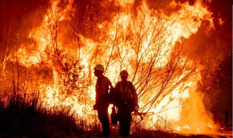 آواره شدن ساکنان کالیفرنیا؛ تکرار صحنههای جنگ غزه در لسآنجلس