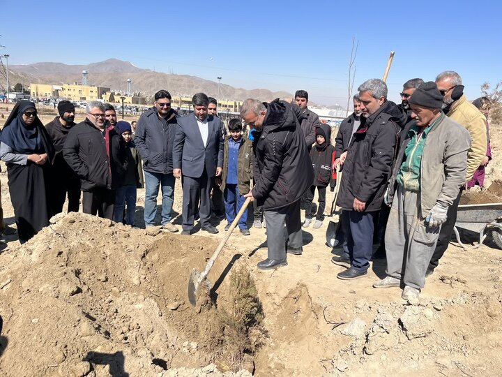 ۲ هزار اصله نهال در دره گردشگری نورالشهدای اراک کاشته شد ۲ هزار اصله نهال در دره گردشگری نورالشهدای اراک کاشته شد