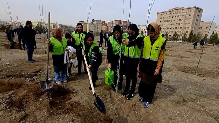 پویش سراسری درختکاری در مشهد پویش سراسری درختکاری در مشهد