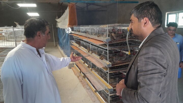حمایت از کارآفرینان در راستای تحقق شعار سال در اولویت قرار دارد حمایت از کارآفرینان در راستای تحقق شعار سال در اولویت قرار دارد