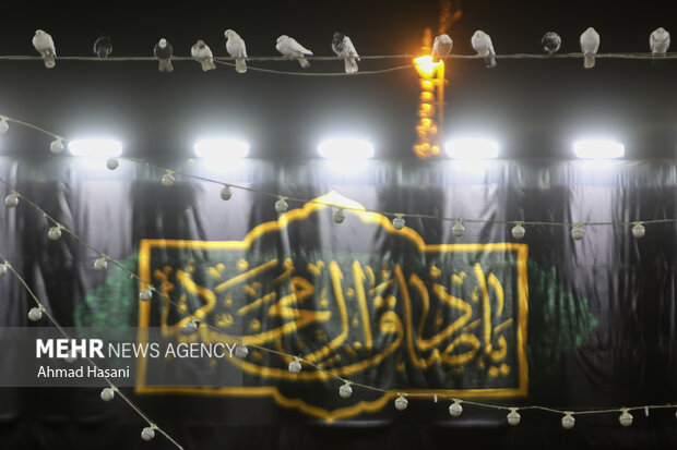 امام صادق(ع) احیاگر معارف اهلبیت و بنیانگذار نهضت علمی در جهان اسلام امام صادق(ع) احیاگر معارف اهلبیت و بنیانگذار نهضت علمی در جهان اسلام