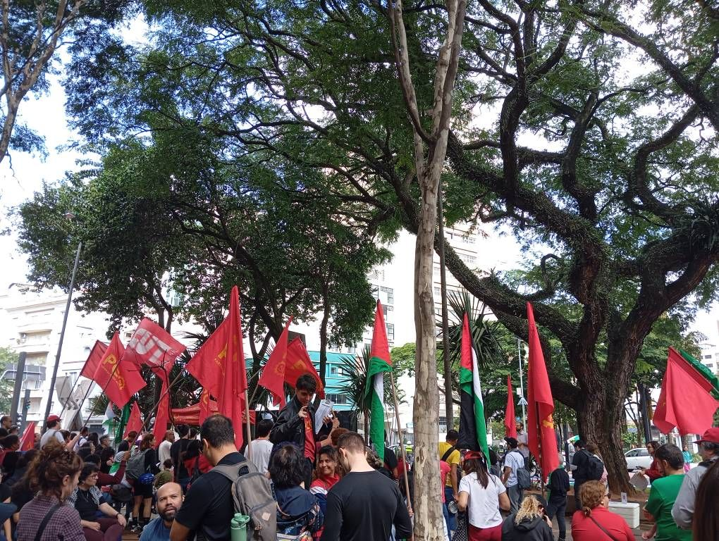 رفع علم فلسطين في مسيرة عمالية بالبرازيل+ صور وفيديو