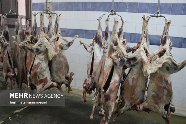 ارز ترجیحی گوشت قرمز حذف شد ارز ترجیحی گوشت قرمز حذف شد