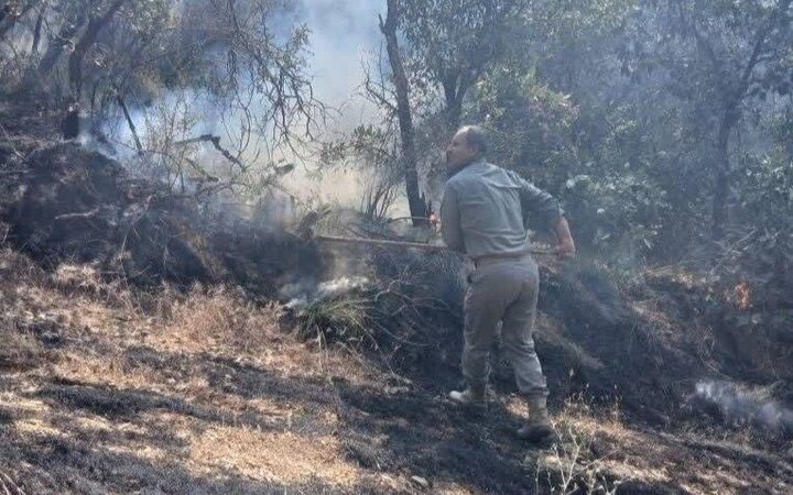 مهار آتشسوزی شاهو و کوسالان؛ ۲۰ هکتار جنگل و مرتع خاکستر شد مهار آتشسوزی شاهو و کوسالان؛ ۲۰ هکتار جنگل و مرتع خاکستر شد